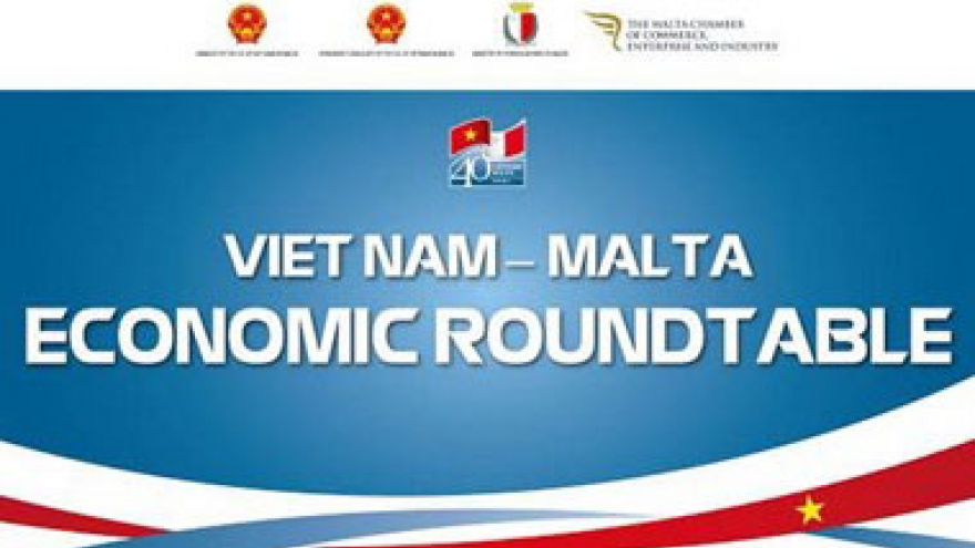 Vietnam, Malta cooperate in intercountry adoption