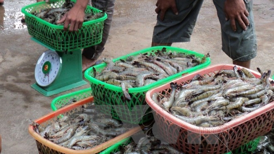 Maritime environmental incident in central region actively settled