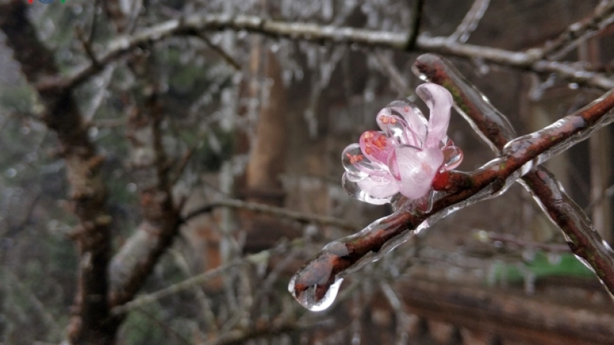 In photos: Mau Son peak covered in frost