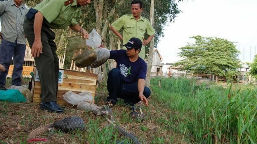 Measures taken to preserve biodiversity in U Minh Thuong National Park