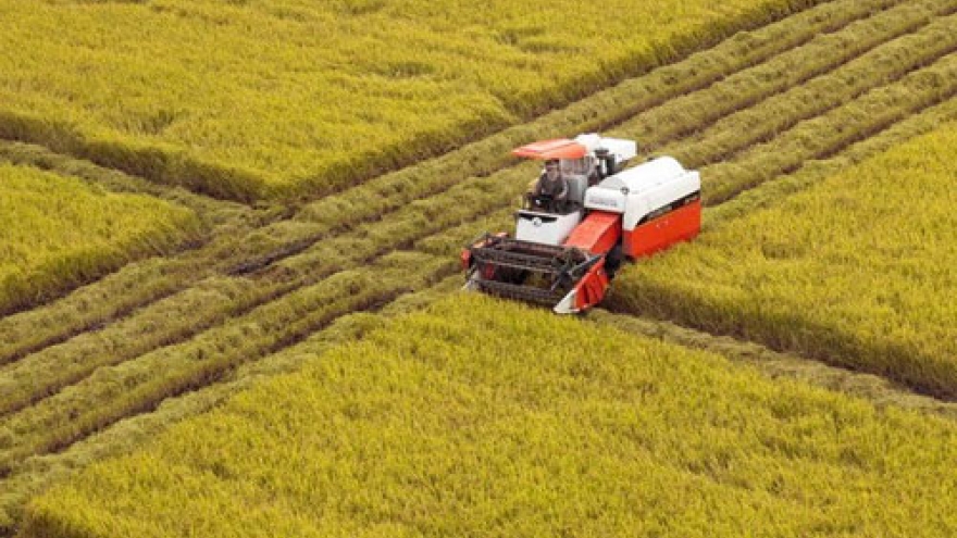 Vietnam among world’s top 10 best-value destinations