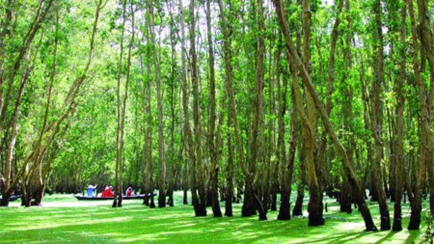 
        Mekong Delta holds beguiling charms
                              