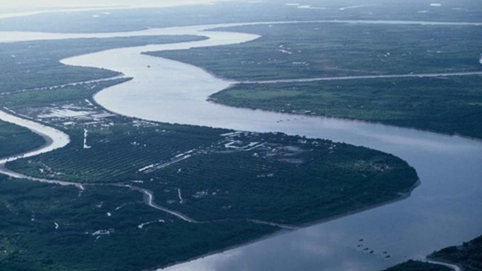 Scientists win four more US scientific research awards