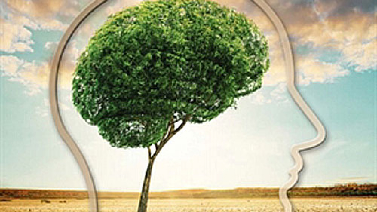 World Meteorological Day marked in Vietnam