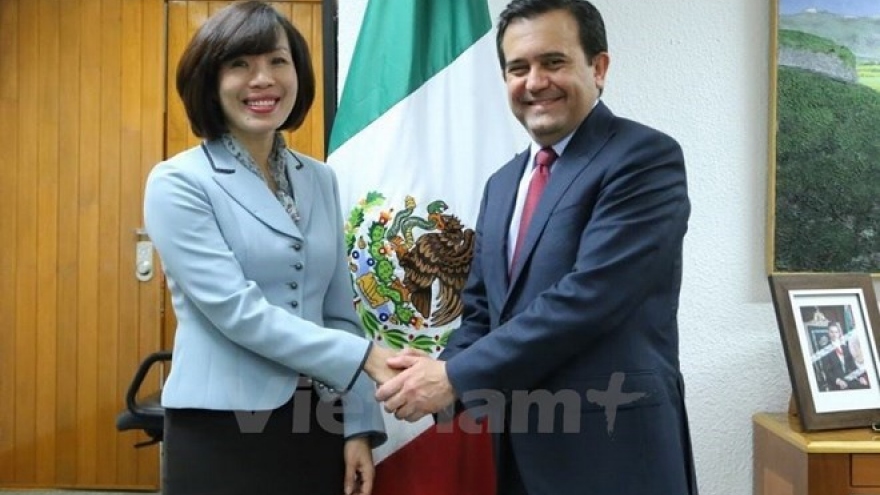 Mexico, Vietnam bolster economic links