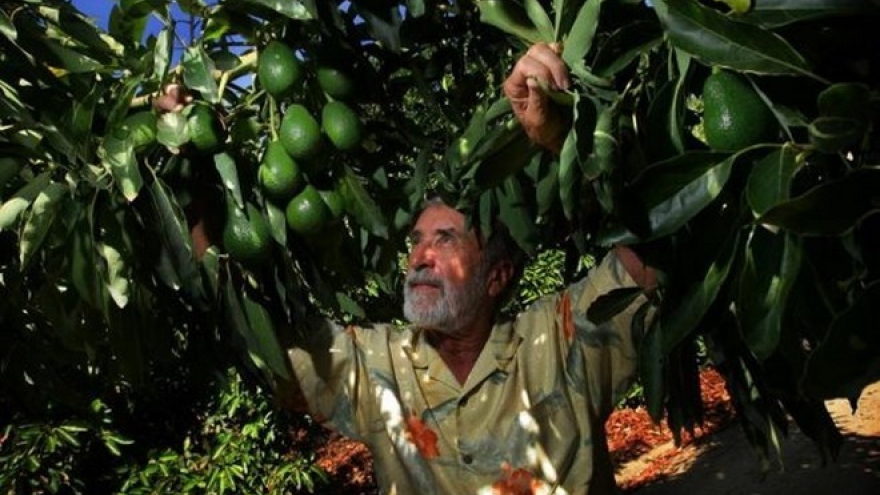 Vietnam, Mexico seek partnership in food industry