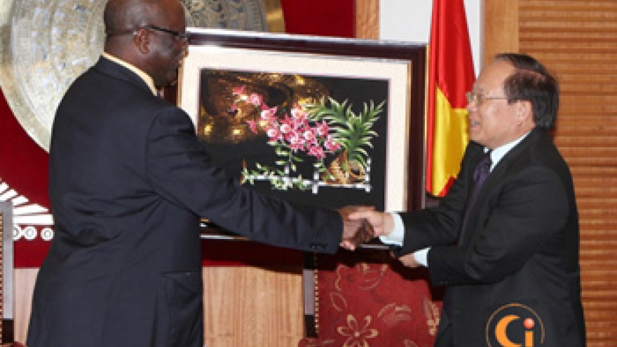 Niger, Vietnam increase cultural cooperation