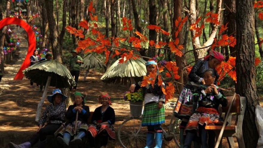 Homestay tourism boosts income of Mong ethnic people