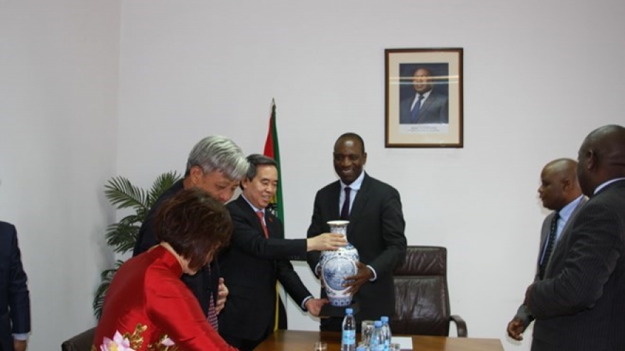 Party economic official visits Mozambique
