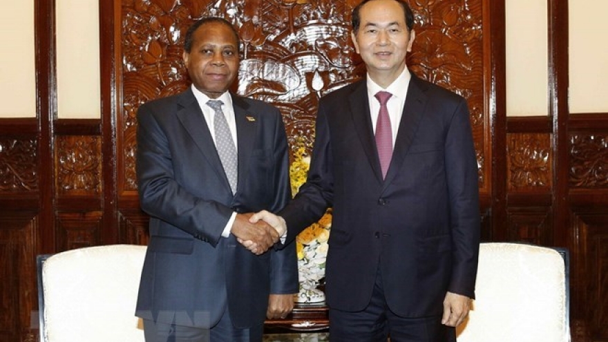 President receives outgoing Mozambican Ambassador