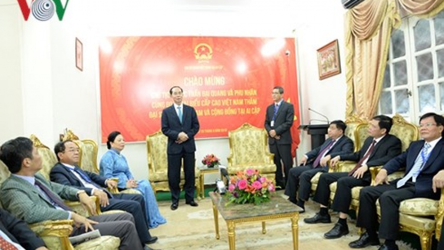 President Quang visits Vietnamese embassy in Egypt