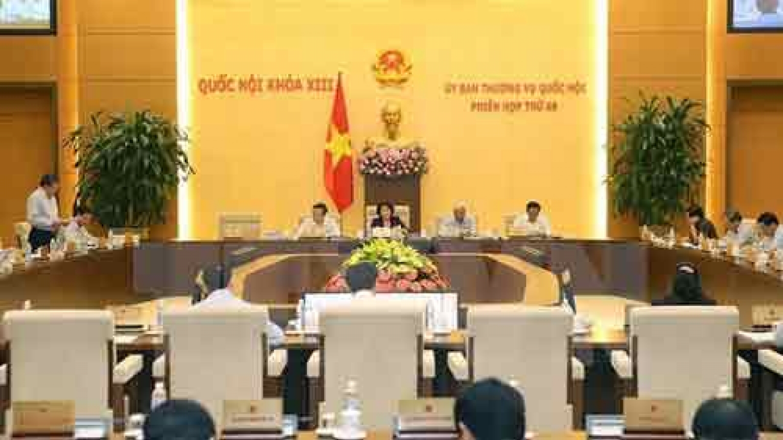 NA Standing Committee to scrutinise lawmaking in 2017