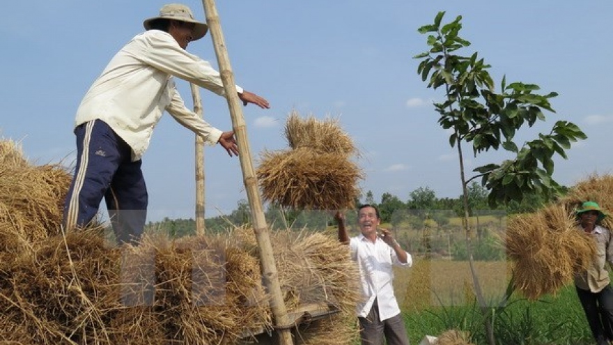 Korean NGO helps Cao Bang farmers improve income