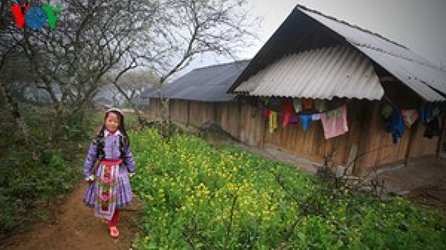 Mong ethnic group celebrates traditional New Year