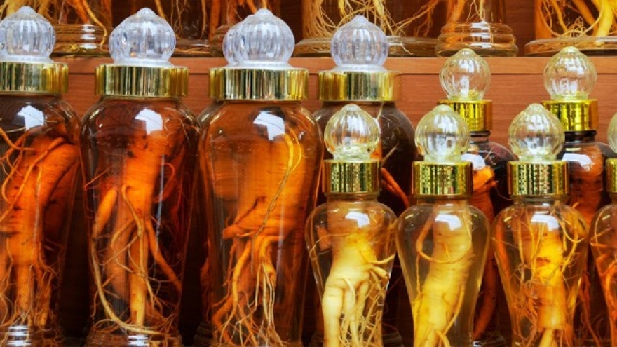 Vietnam among biggest importers of Korean ginseng