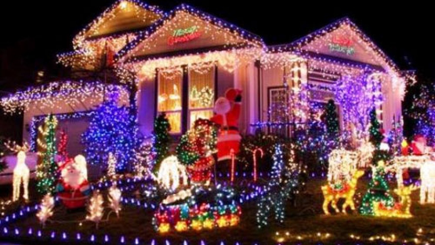 Tallest Christmas tree in nation lights up