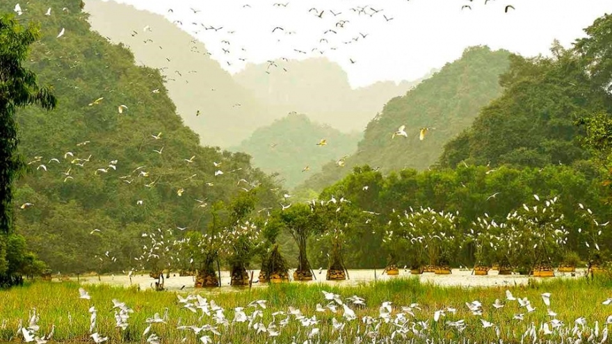 17 must-see places in Ninh Binh province