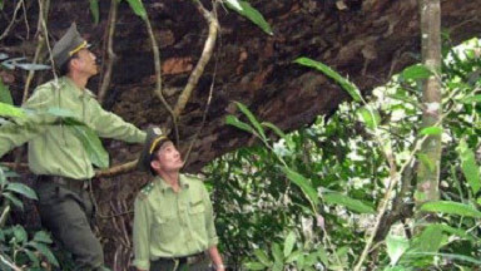 Uppermost Na Hang district protects biodiversity