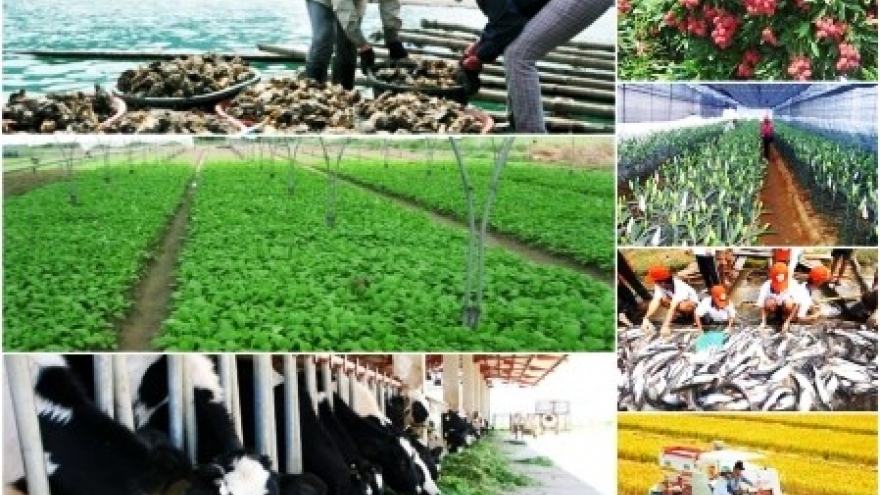 
        National online conference to be held on agriculture, farmers, rural areas
                              