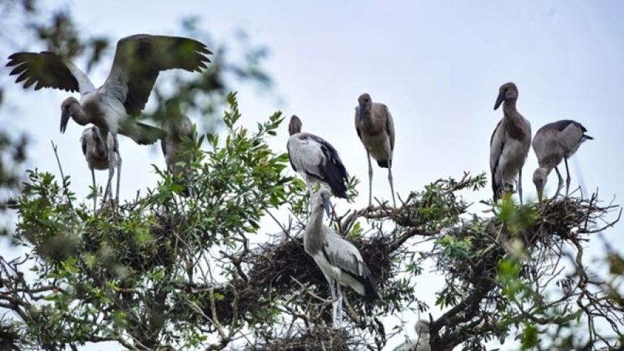 National park guide talks to the birds