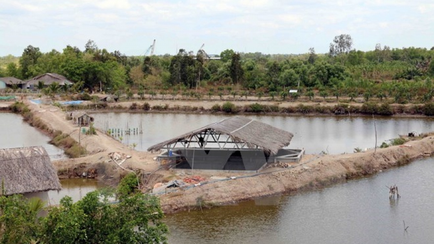 
        Natural disasters wreck havoc on aquaculture in Ca Mau
                              