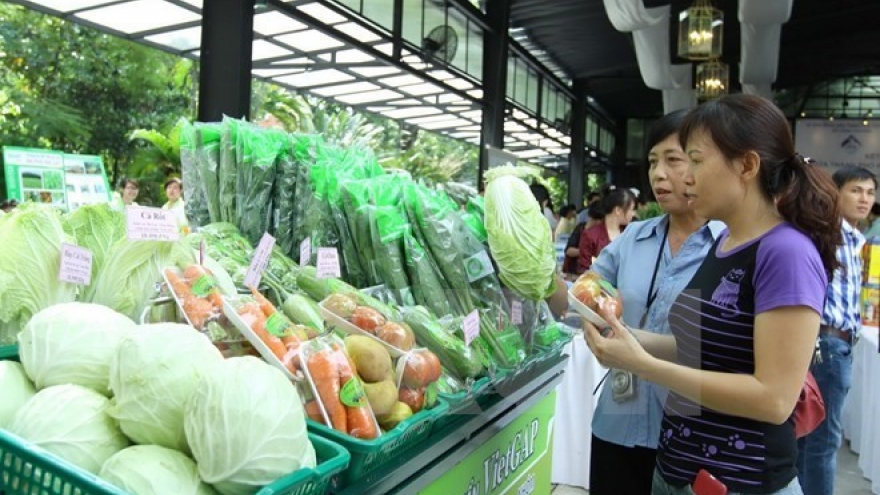 Netherlands shares experience in food safety management