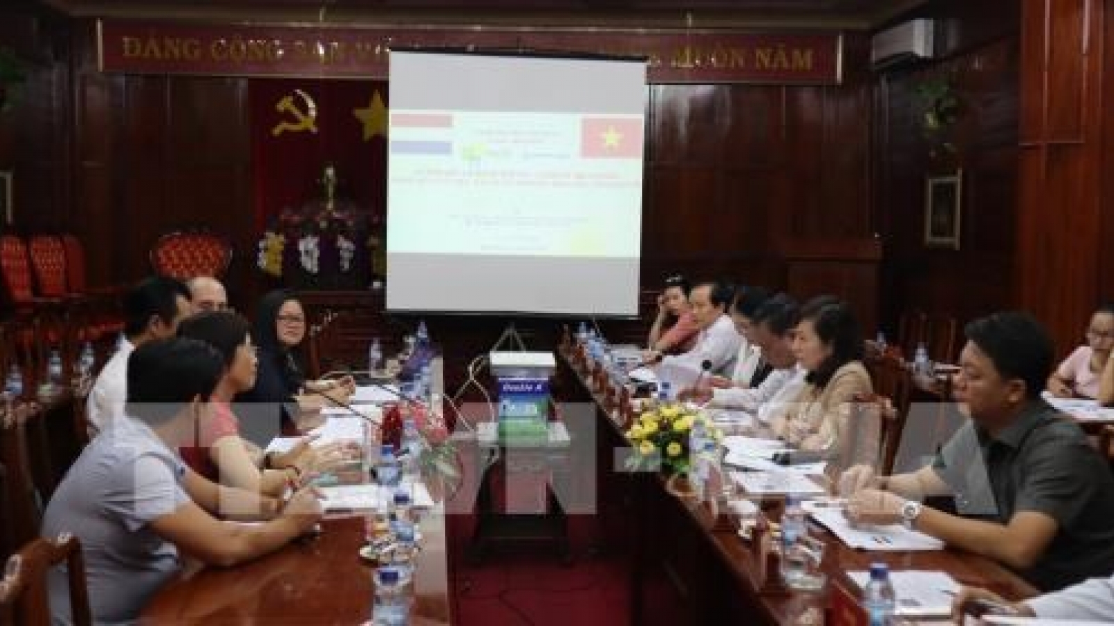 Netherlands eyes cashew industry in Binh Phuoc