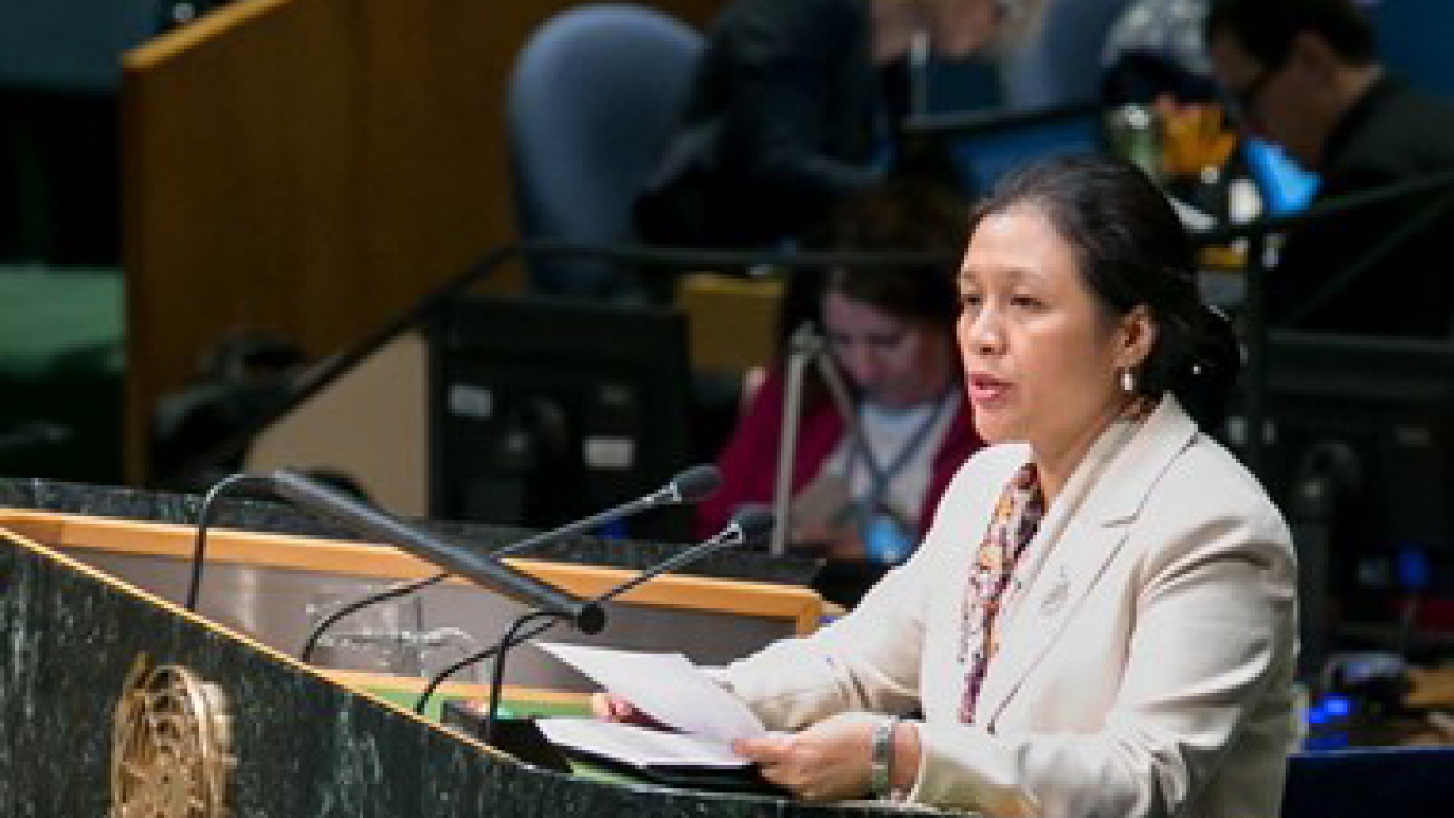 Vietnam respects UN Charter’s principles