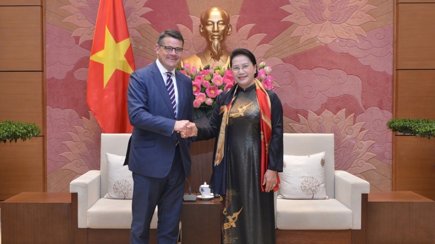 NA Chairwoman sanguine about sound Vietnam-Germany ties