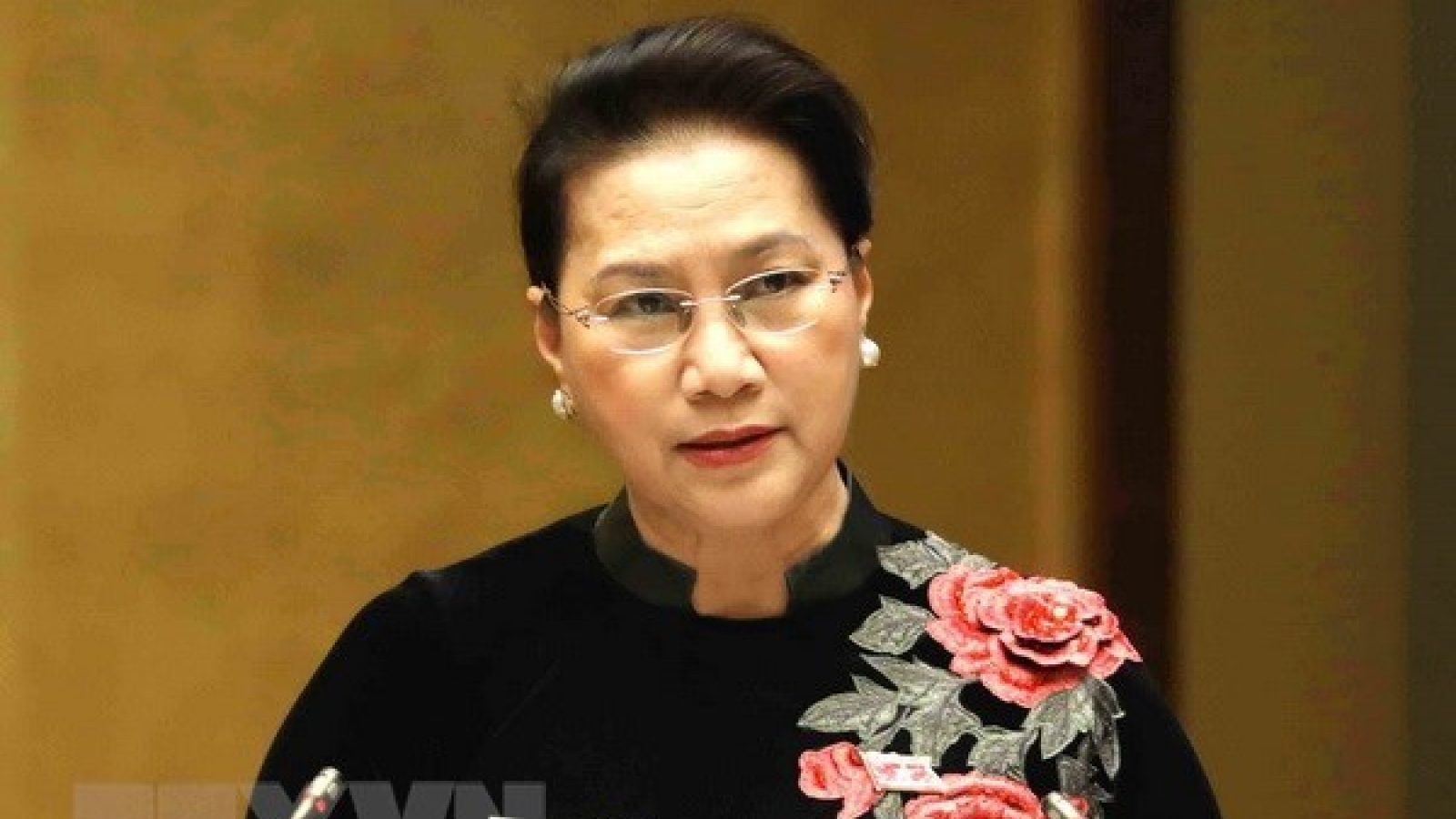 NA Chairwoman’s IPU-138 participation, Netherlands visit successful