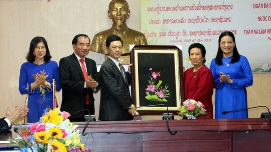 Lao NA committee for ethnic affairs delegation visits Nghe An