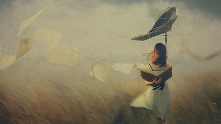 Amateur Vietnamese photographer wins int’l award