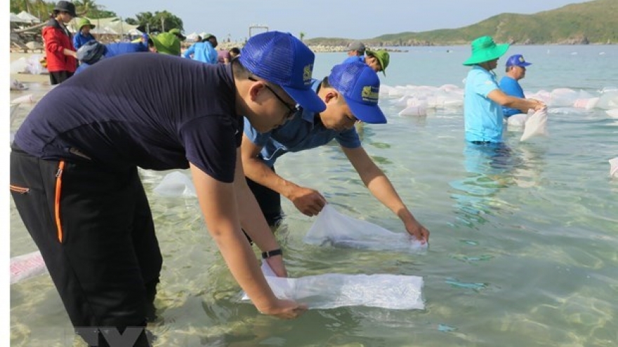 Nha Trang releases fries to regenerate aquatic resources