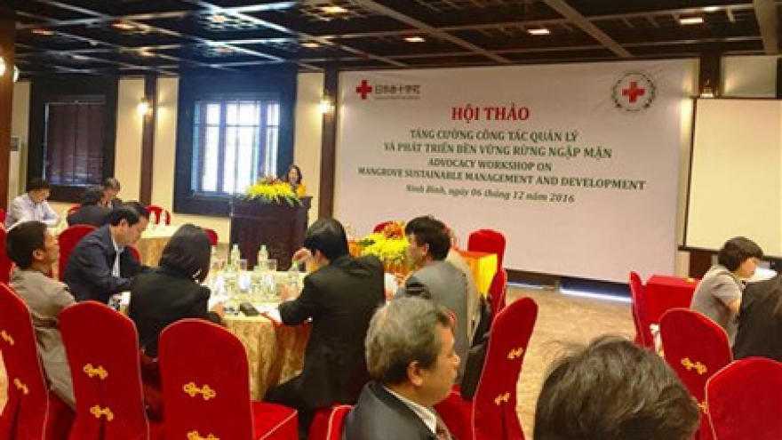 Seminar on mangrove forests management in Ninh Binh