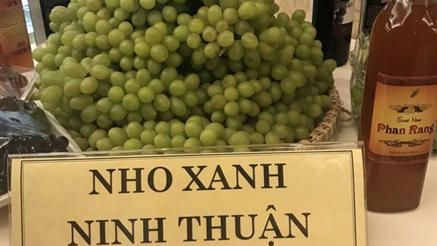 Ninh Thuan seeks ways to develop tourism