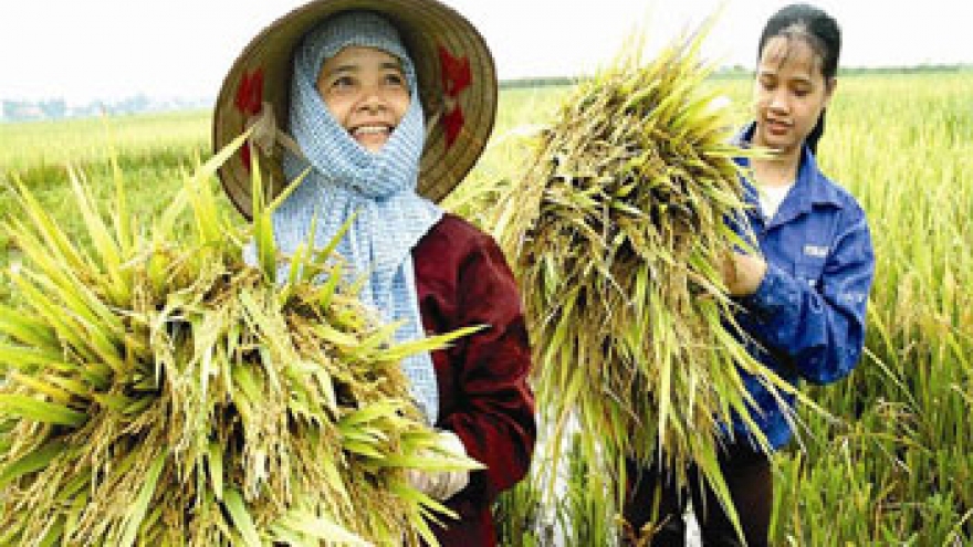 President praises farmers’ national development contributions 