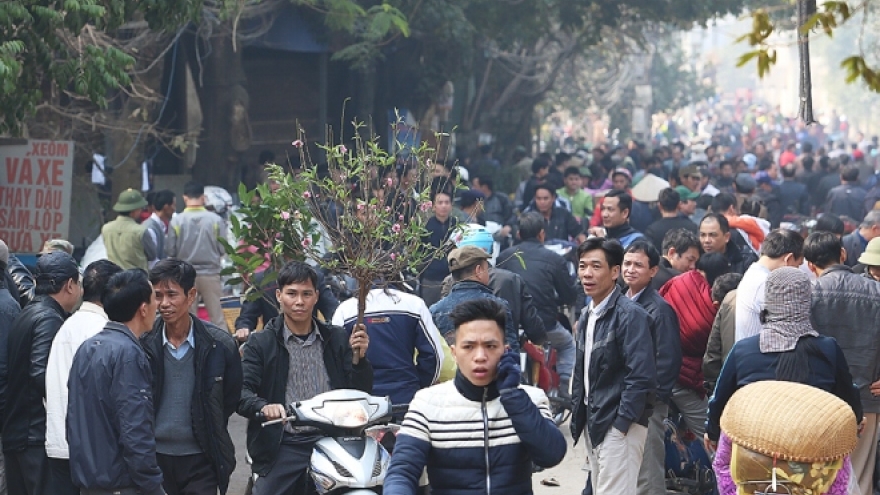 Last fair before Tet mobbed at traditional northern market