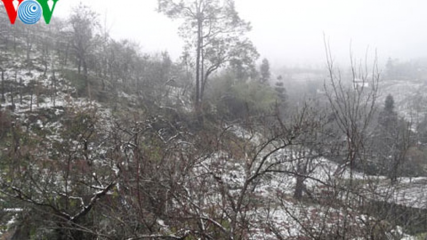 
        Cold wave sweeps northern region
                              