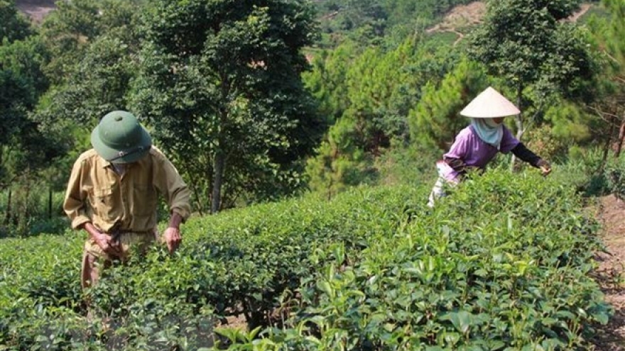 Vietnam targets effective ODA use, management