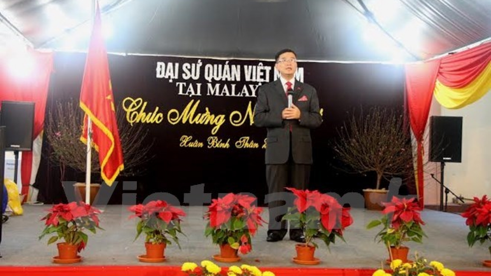 Overseas Vietnamese welcome Lunar New Year
