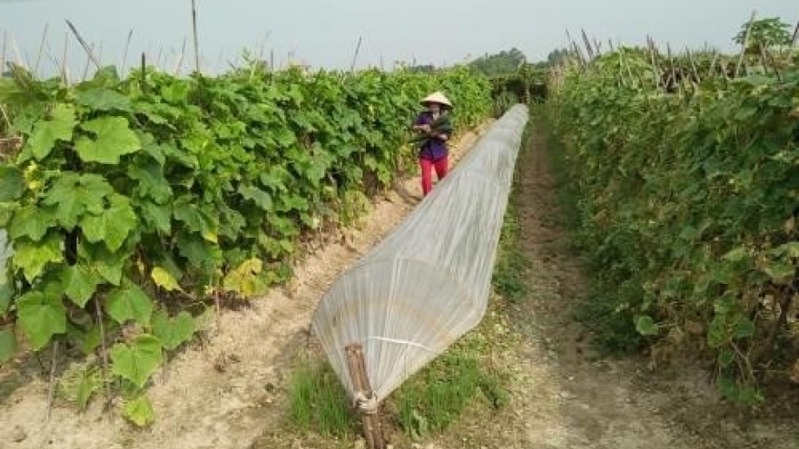 Organic firms need to do research: experts