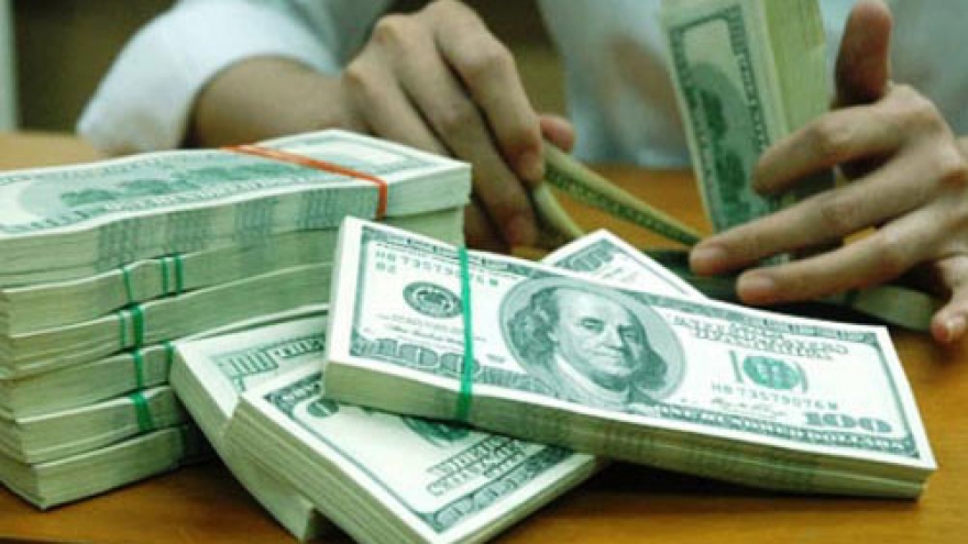 Overseas remittances to hit US$12 billion in 2014