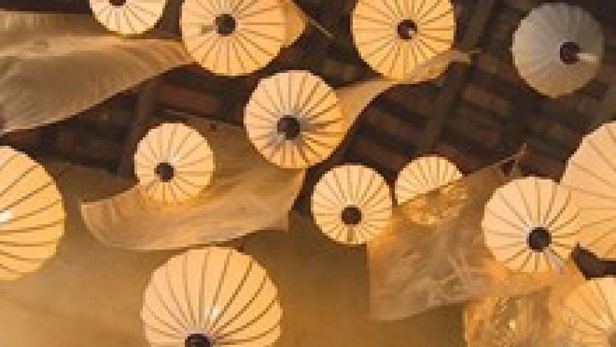 Unique paper from water coconut tree