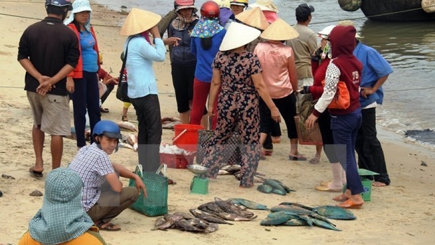 PM directs stockpiled seafood settlement in marine incident-hit provinces