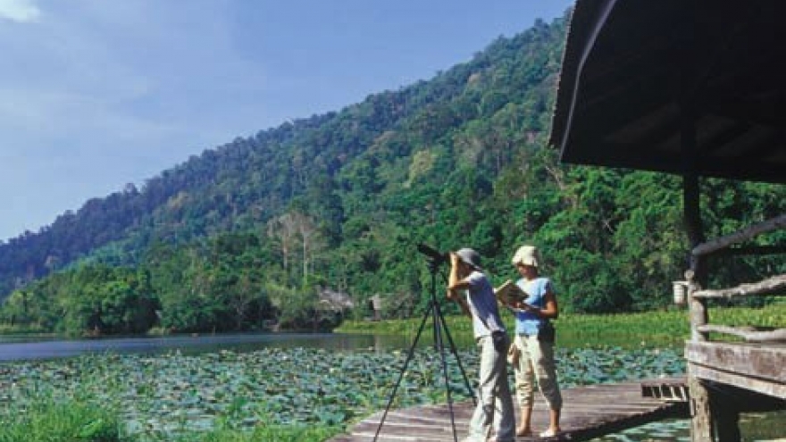Holidaymakers suggested visiting Thailand's Thale Ban National Park