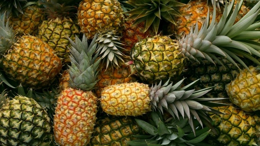 Ratchaburi increases distribution channels for pineapple, agricultural products