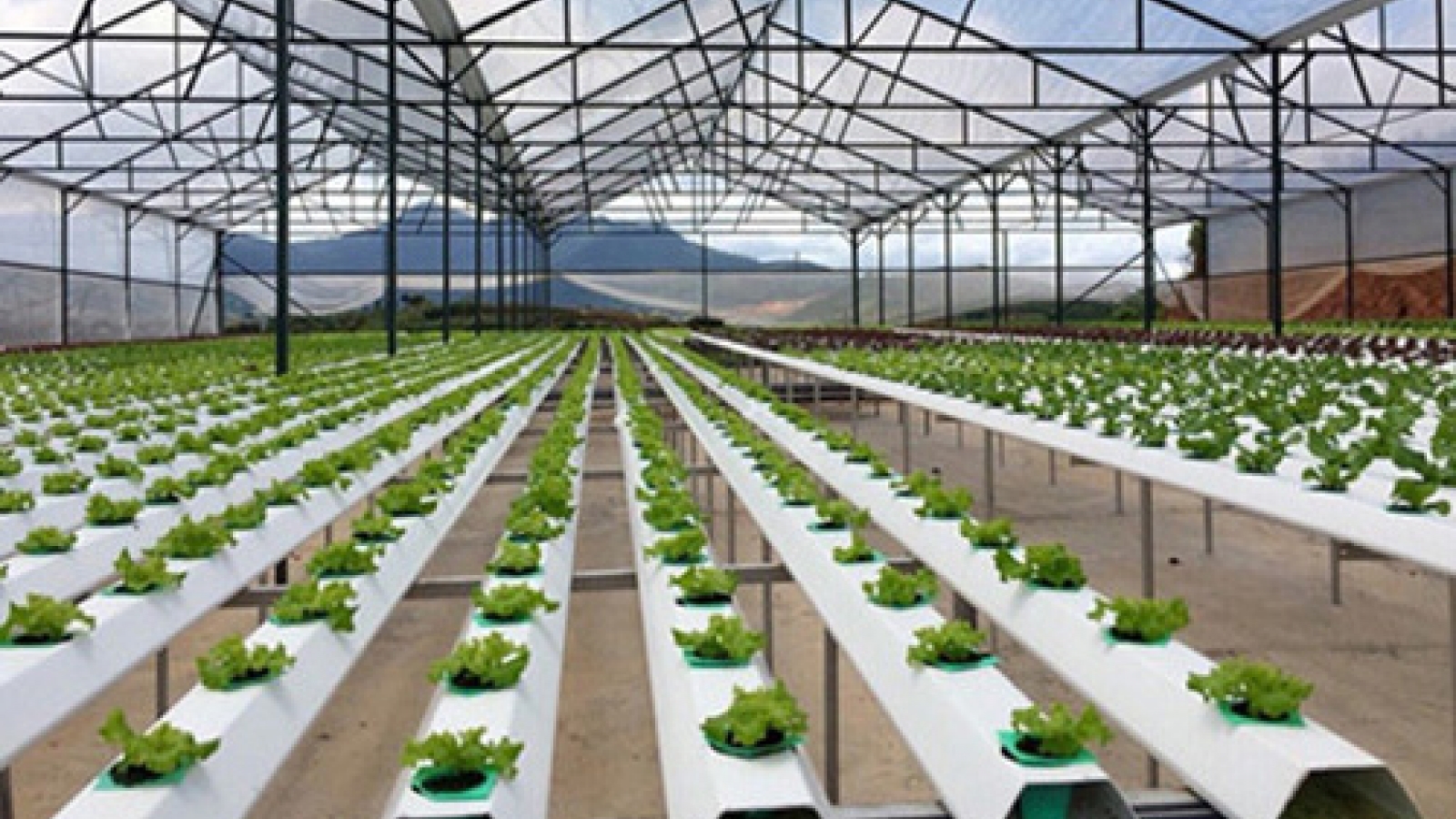 Using public-private partnerships to revamp agriculture 