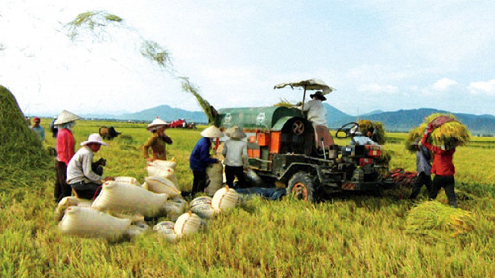 Agricultural growth still facing underlying risks