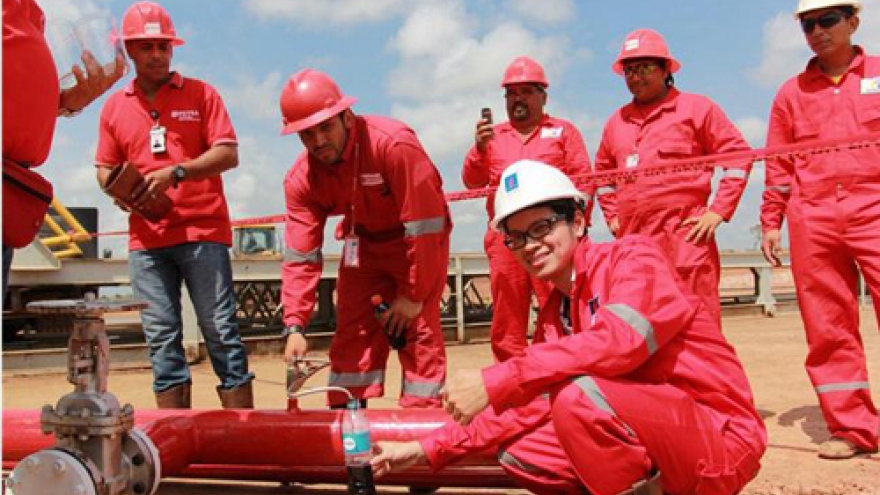 
        PVN promotes overseas oil and gas exploration
                              