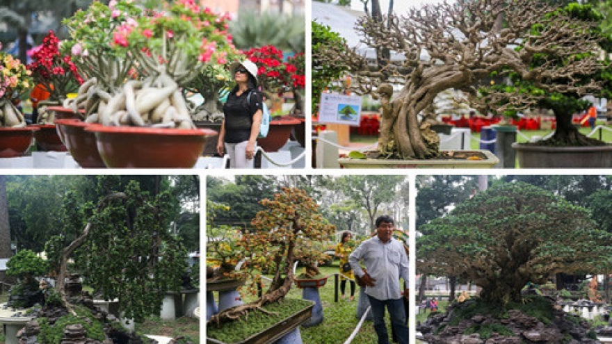 Spring ornamental plant fair and sale opens in Saigon 